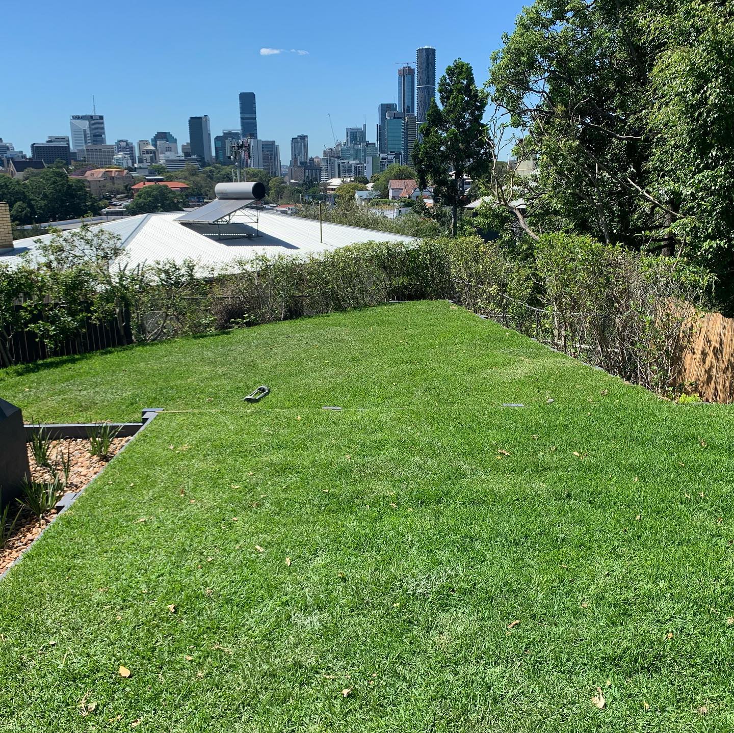 Fresh turf installation with Brisbane city skyline views at Highgate Hill