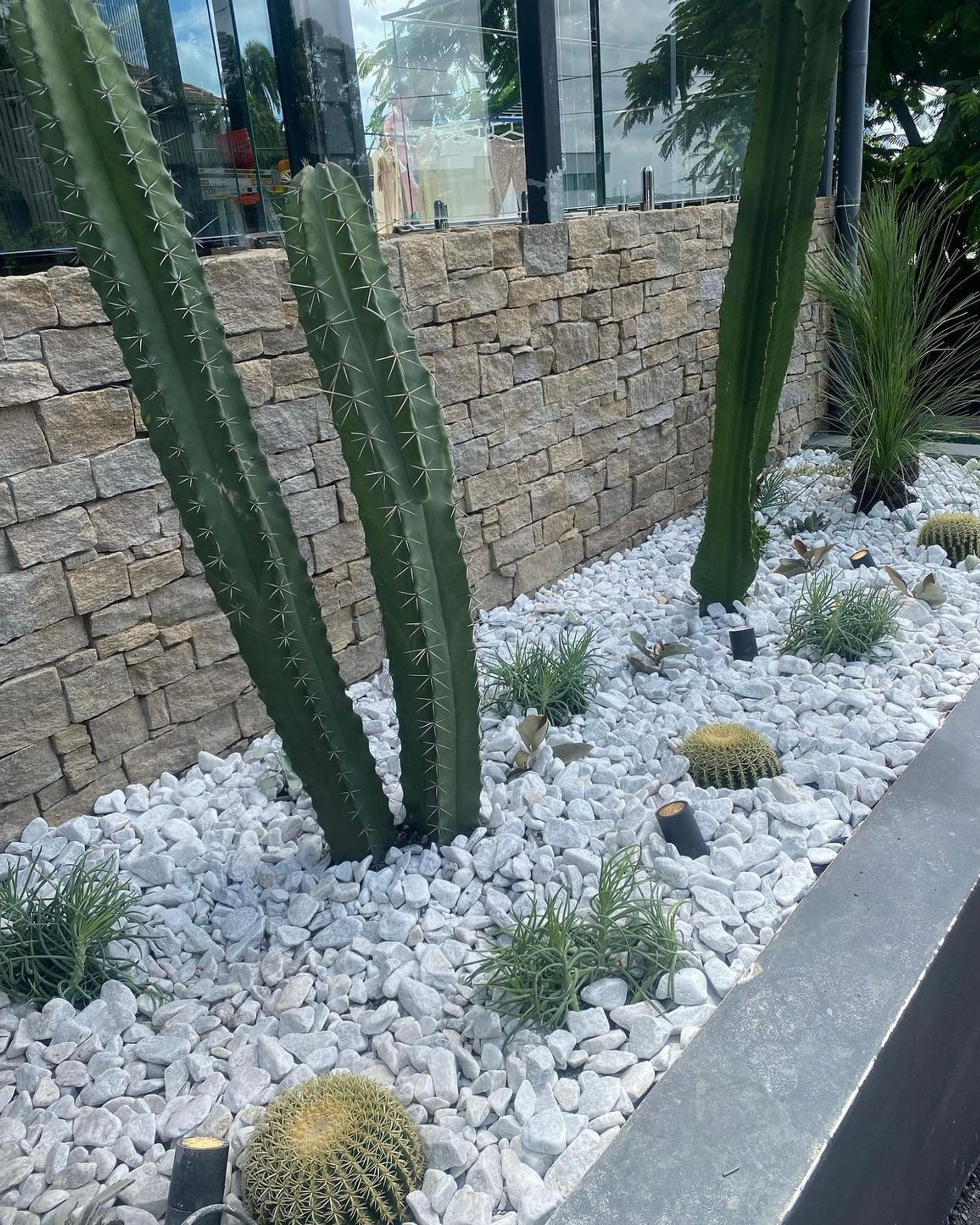 Stone retaining wall with cactus and white pebble garden in Ashgrove