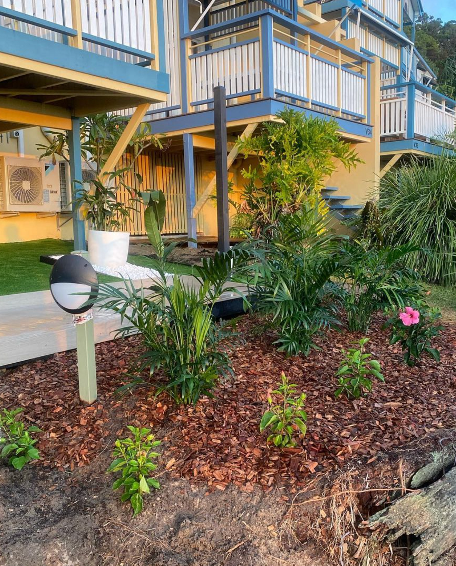 Tropical garden with mulching and new plantings on Moreton Island